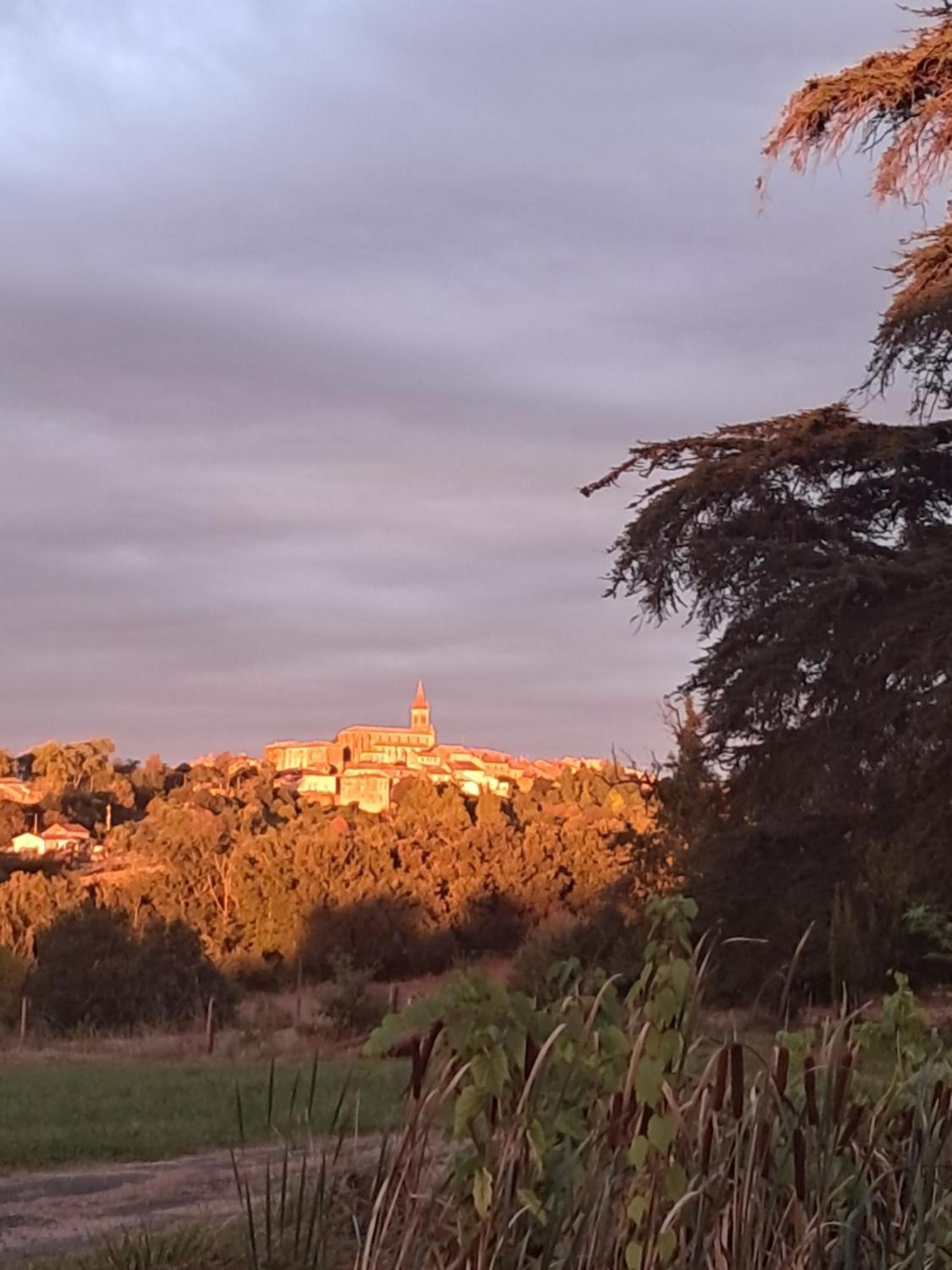 Aux Roses De Cedres Chambre Savane Salvagnac 外观 照片